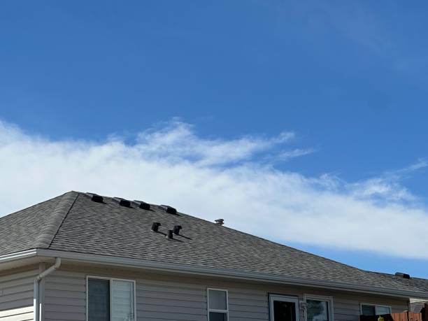 Best Roof Insulation Installation  in South Lebanon, OH